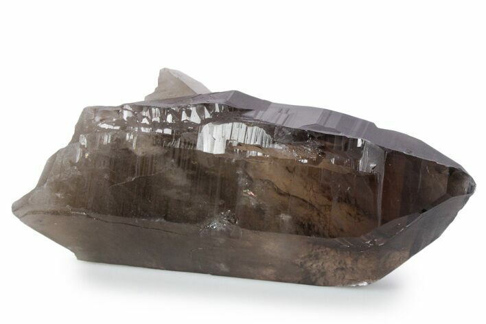 Natural, Dark Smoky Quartz Crystal - Colorado #356716